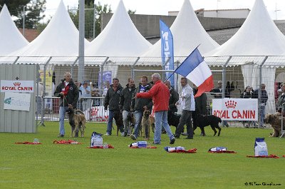 Remise des Prix 025.JPG - CHIENPLUS.COM